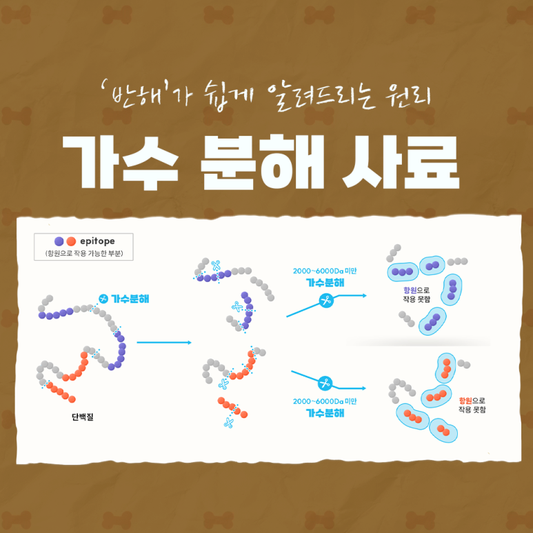 가수분해 뜻 가수분해 원리